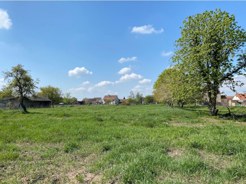 Terrain constructible de 783 m² à vendre à Saint-Loup-de-Varennes dans le lotissement L'Allée du Château.