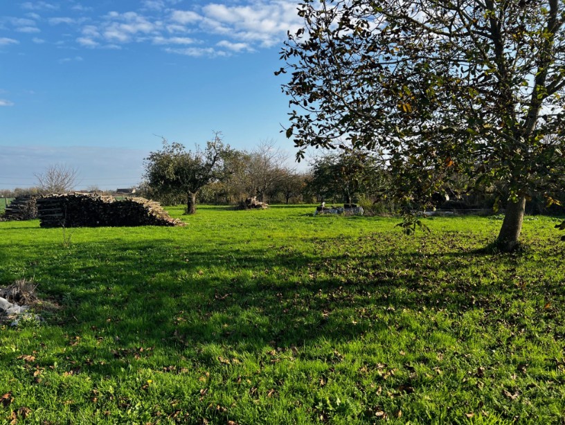 Terrain à bâtir de 2 000 m² à Varennes-le-Grand (71)